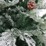 Ёлка «Таинственный лес» 180 см, (780 веток), ПВХ,леска,резина шишки, белое напыление