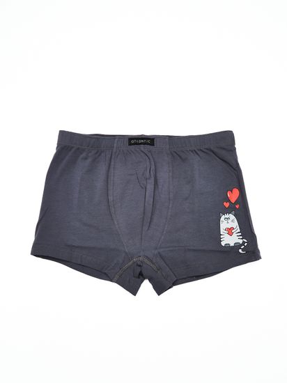 Шорты мужские ATLANTIC MH-1653