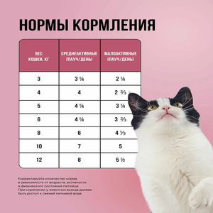 Пауч кусочки в соусе BOWL WOW для стерилизованных кошек, с телятиной с овощами