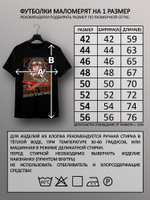 Футболка Валерий Чкалов