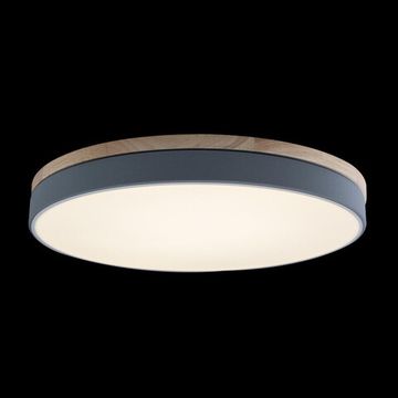 Потолочный светильник LED 36W 4000К 10001/36 Grey серый Axel LOFT IT