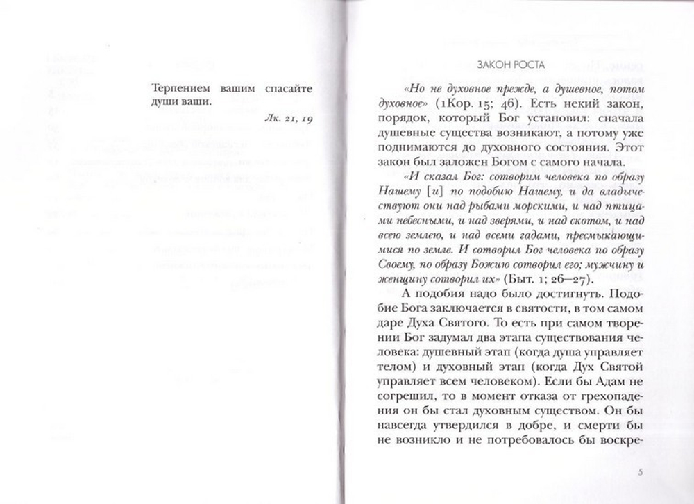 Если плохо тебе-помоги ближнему. Толкование на Первое и Второе Послание апостола Павла к Коринфянам. Часть 8. Священник Даниил Сысоев