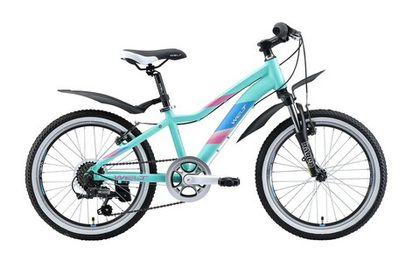 Детский велосипед Welt Edelweiss 20 (2020)