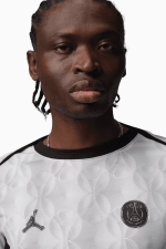 Футболка Nike PSG 25/26 Academy Pro Night Edition LS - серый