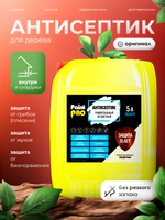 Антисептик универсальный бесцветный PaintPRO 5л