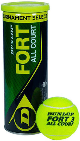 Мячи теннисные Dunlop Fort All Court (3 мяча в банке), арт. 601234