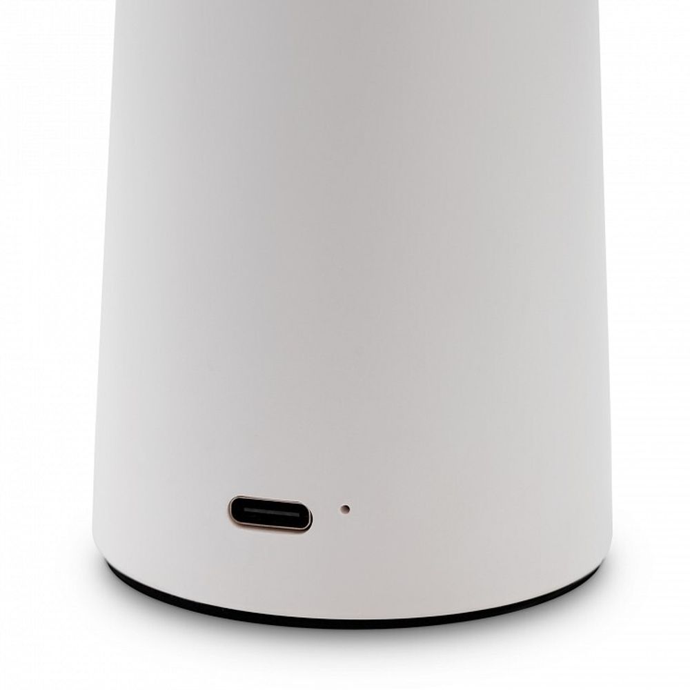 Настольная лампа декоративная Freya Mushroom FR6109TL-L4W