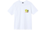 Футболки Stussy Desert Bloom Tee T, 1904686