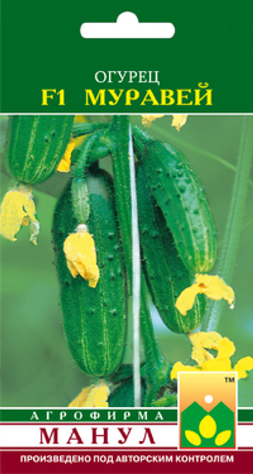 Огурец Муравей F1