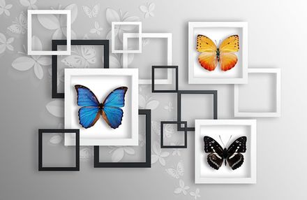 Фотообои Бабочки в рамках (Ширина 4,15 м)