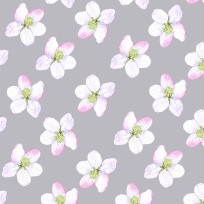 Цветы яблонь