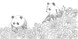 Gifts from animals Birth Moon Flower. Coloring Book