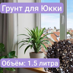 Грунт для Юкки, 1 литр