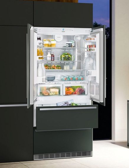 Холодильник Liebherr ECBN 6256