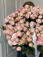 Пионовидная кустовая роза сорт БОМБАСТИК