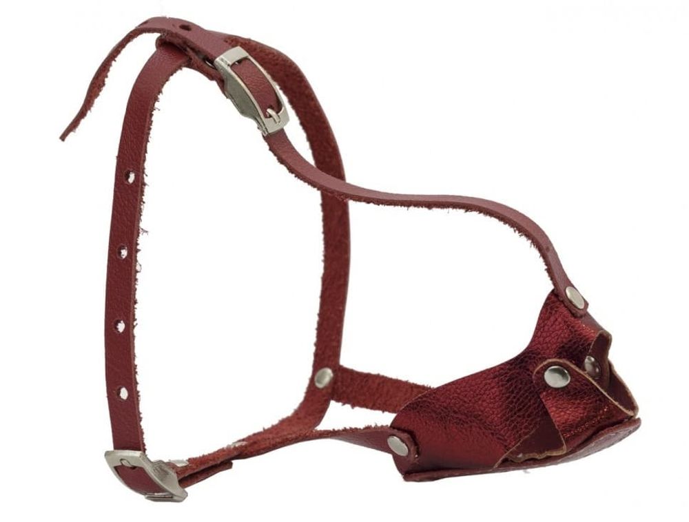 Намордник кожаный цельнокроеный для мелких пород собак (шпиц) Намордник кожаный цельнокроеный для мелких пород собак (шпиц)