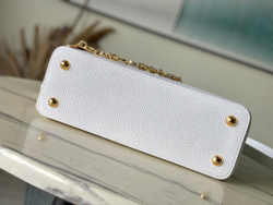 Louis Vuitton Capucines MM