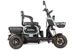 Электротрицикл Wanshida UN MOTO (650Вт, 60B)