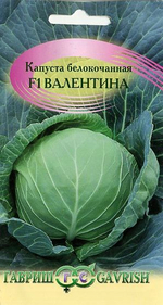Капуста б/к Валентина Гавриш