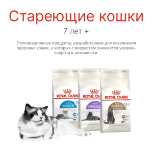 Кошки 7+