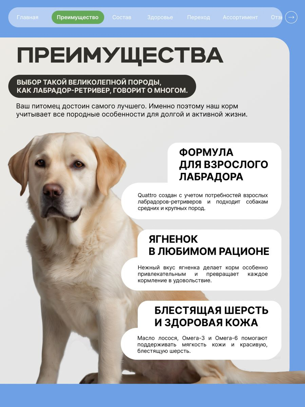 Корм сухой для взрослых собак породы Лабрадор-ретривер, с ягненком, 12 кг, QUATTRO