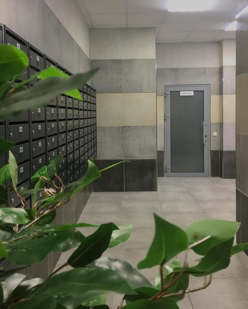 Grasaro Beton Белый Матовый 60x120