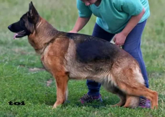 Мать: GOLDENE BIENENSTOCK DIANA ROSS