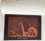 "Тайны неба". И.И. Литров. 1902 г.