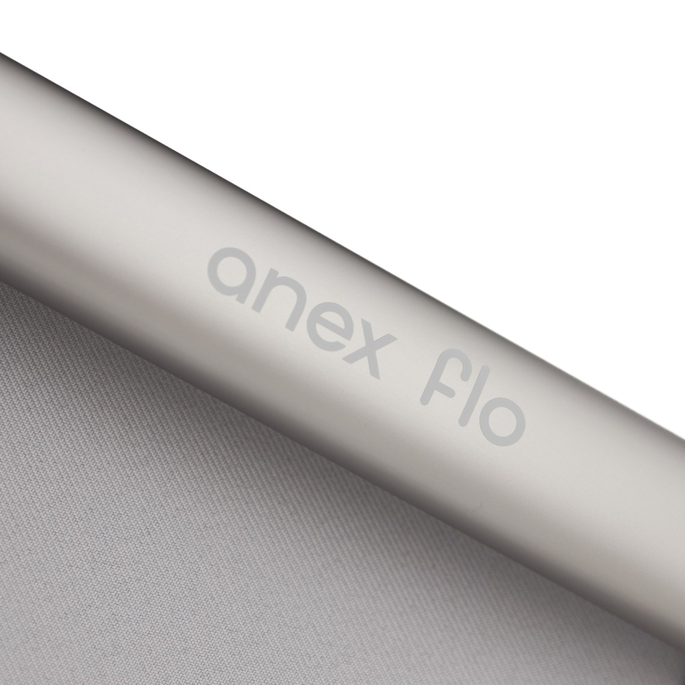 Коляска 2 в 1 ANEX Flo Frossy