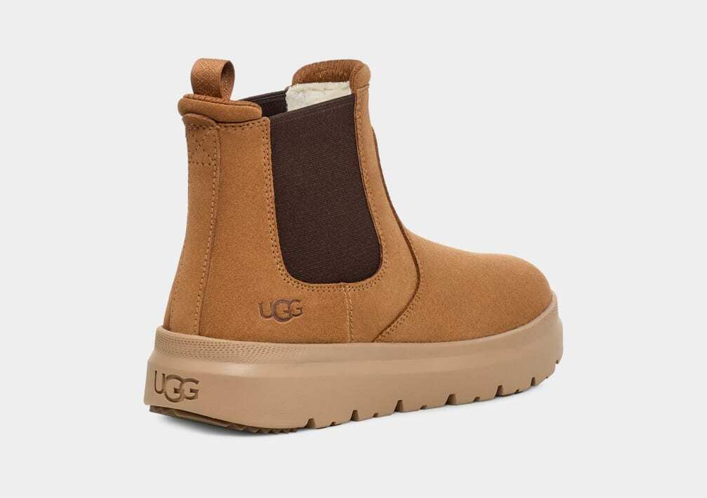 UGG Men Burleigh Chelsea - Chestnut