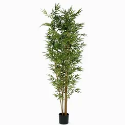 Бамбук высота 210 см, 7 стволов