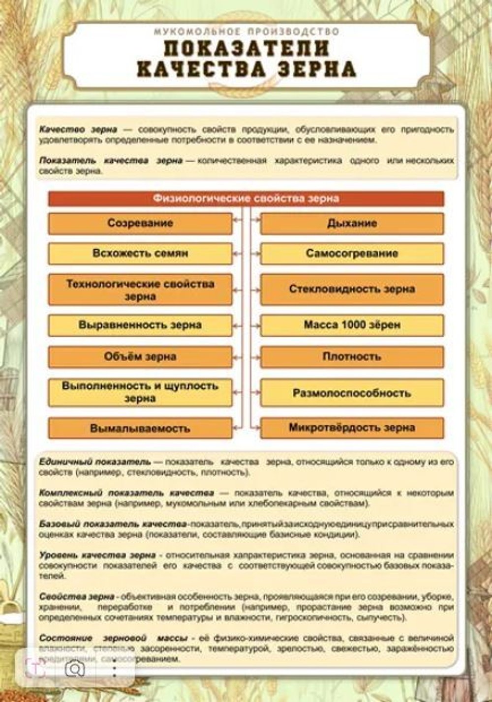 Плакаты "Технология мукомольного производства" (25 пл., винил, 70х100)