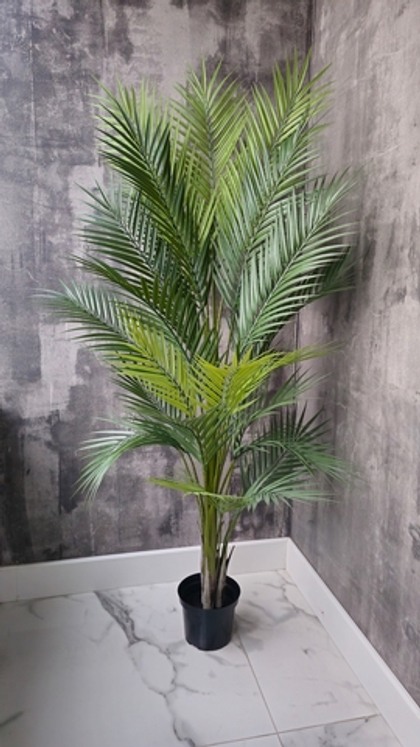 Пальма пышная 150 см в тех.кашпо