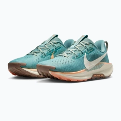 Женские Кроссовки для бега Nike Pegasus Trail 5 cannon/soft pearl/mink brown