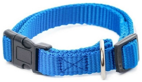 Ошейник капроновый для кошек и собак цветной синий плотный 20 мм обхват шеи 31-45 см.