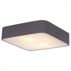 Накладной светильник Arte Lamp A7210PL-2BK
