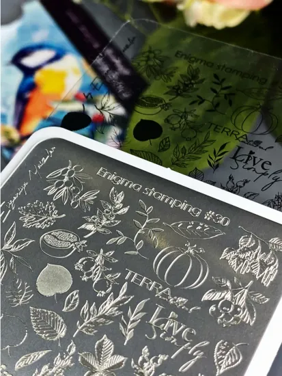 Пластина для стемпинга Enigmanic Stamping №030