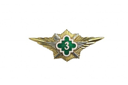 Значок Классность ФСИН 3 класс