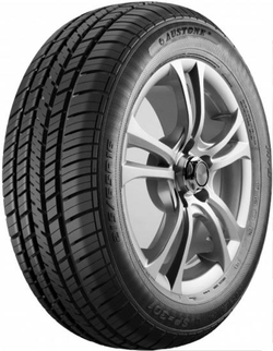 Автошина 215/65R16 FORTUNE FSR-301 102H XL (F)