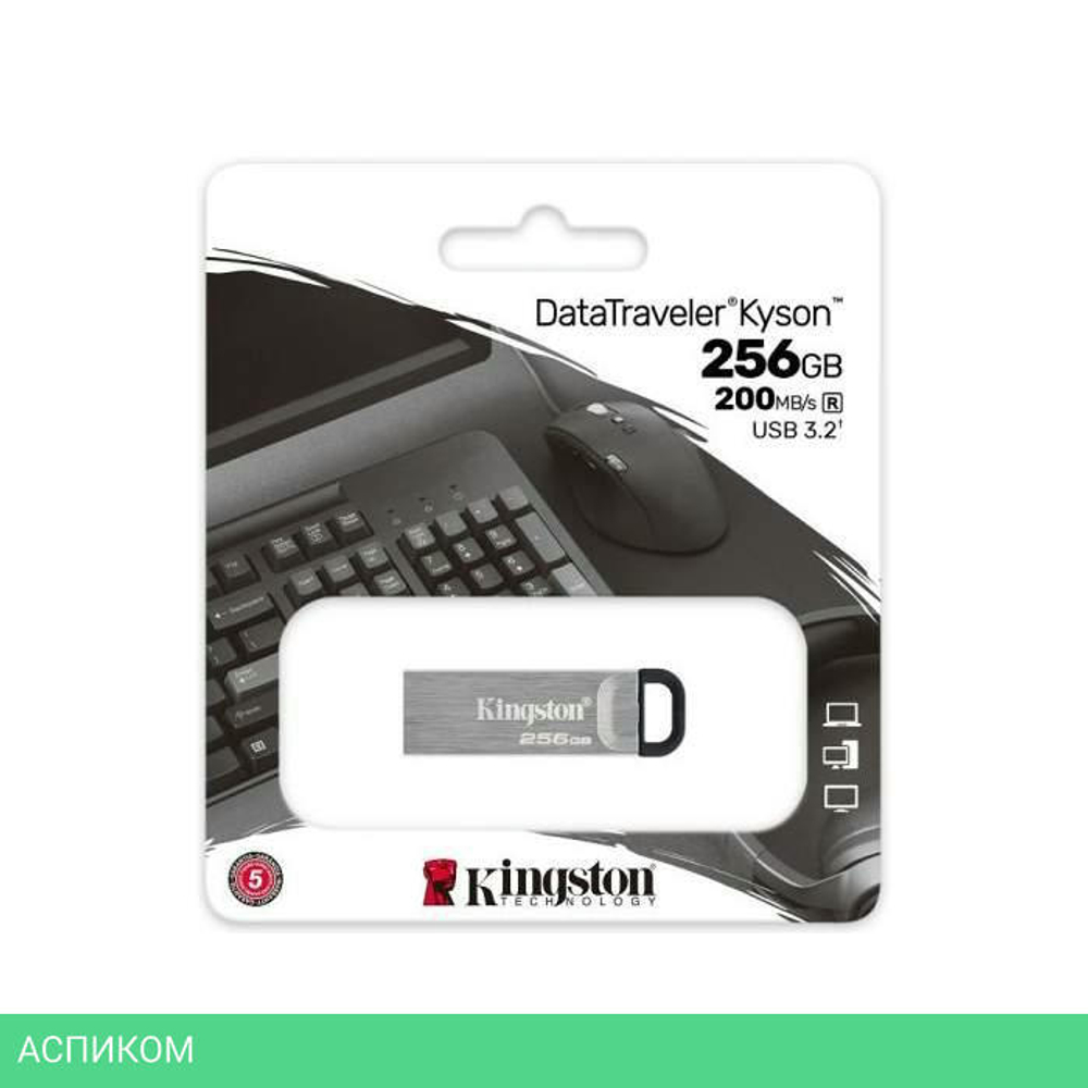 USB Flash-накопитель Kingston DataTraveler Kyson 256GB металл серебристый (DTKN/256GB)