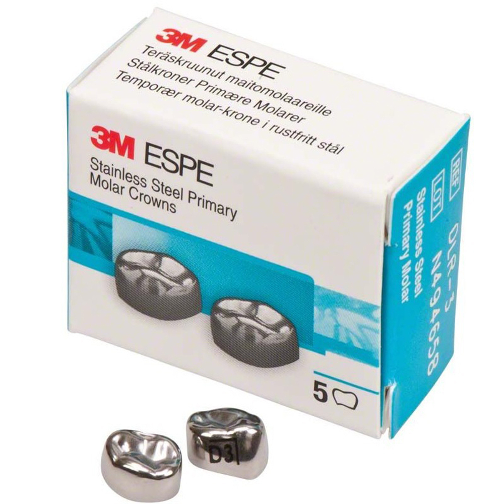 Первый нижний правый моляр, размер 3 (D-LR-3)