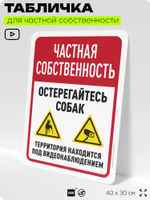 Табличка для частной территории "Частная собственность, остерегайтесь собак", на дом, для участка, организаций, предупреждающая, 40х30 см, Silver Plane x Айдентика Технолоджи