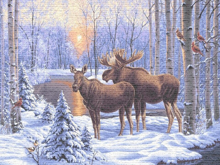 Гобеленовая картина "D. КОСТРОМСКОЙ ЗАПОВЕДНИК" в багетной раме, Россия.