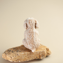 Щенок пуделя