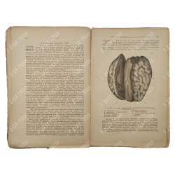 Таубер А. С. Огнестрельные повреждения при современном вооружении армий, 1903.