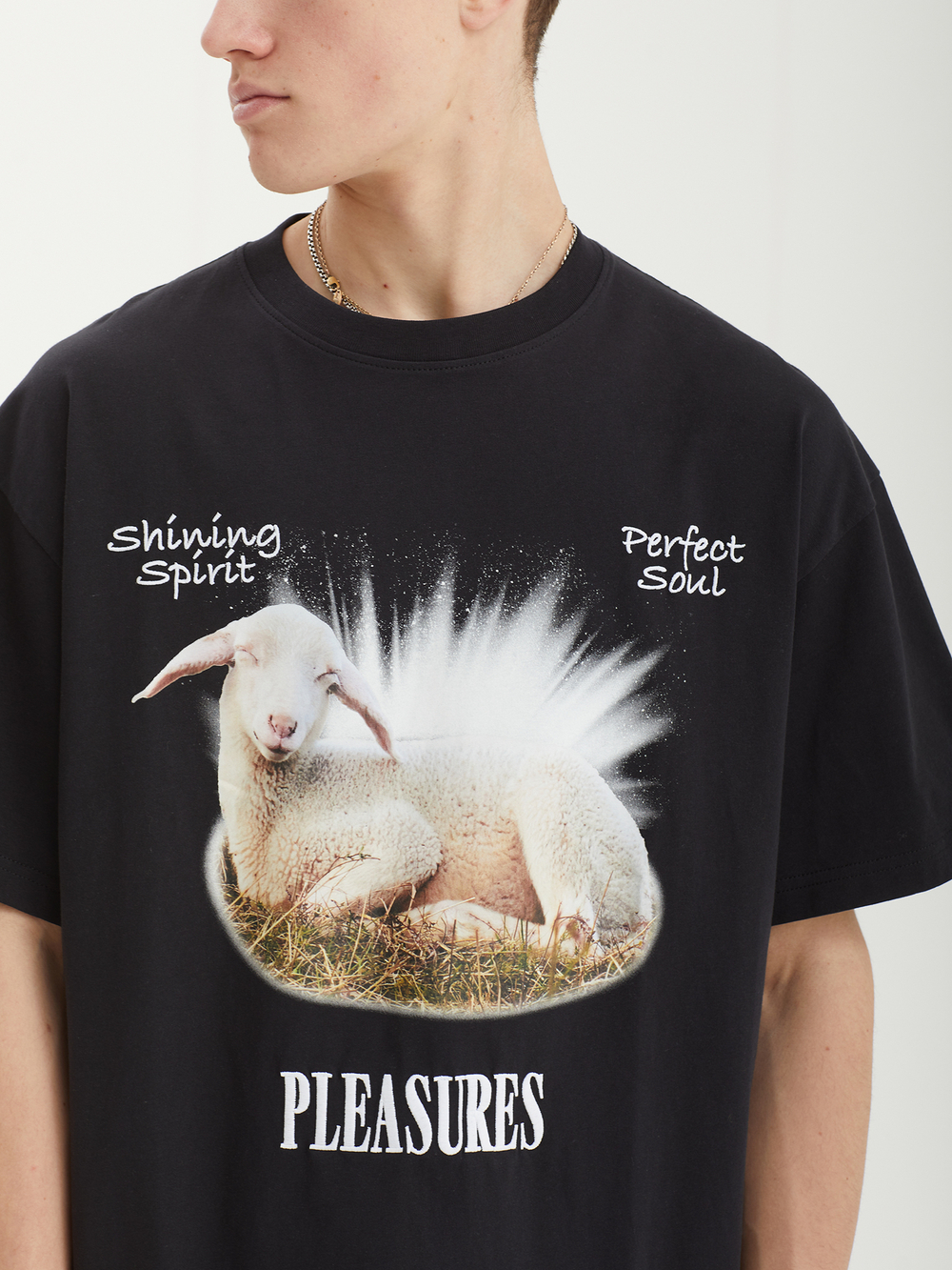 Мужская Футболка Shine