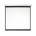 Экран проекционный настенный 135" (248x250 см), электропривод, 1:1, DIGIS Electra-F, DSEF-1108