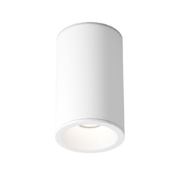 Накладной светильник Maytoni Technical C029CL-01-S-W