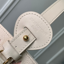 Louis Vuitton All In BB
