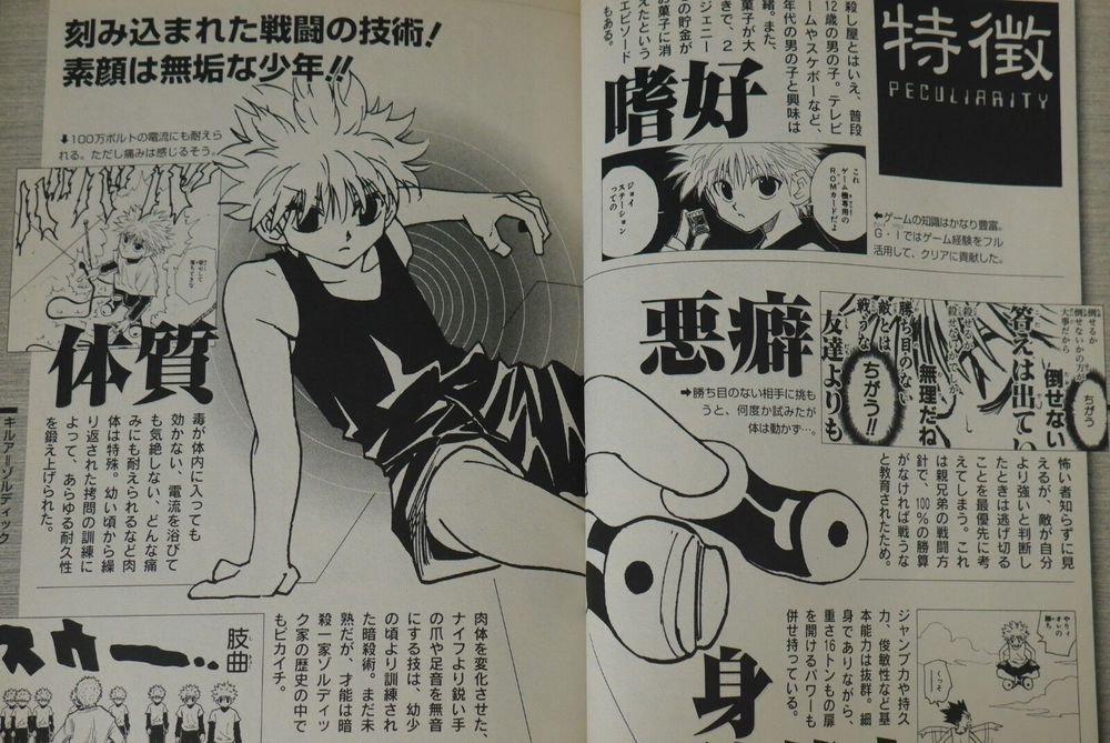 Hunter × Hunter Hunter's Guide Data Book